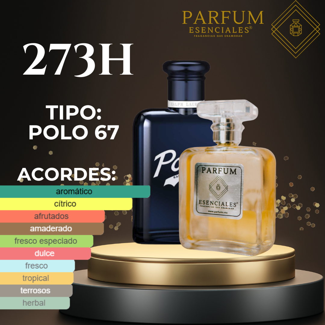 273H Tipo POLO 67 MAN