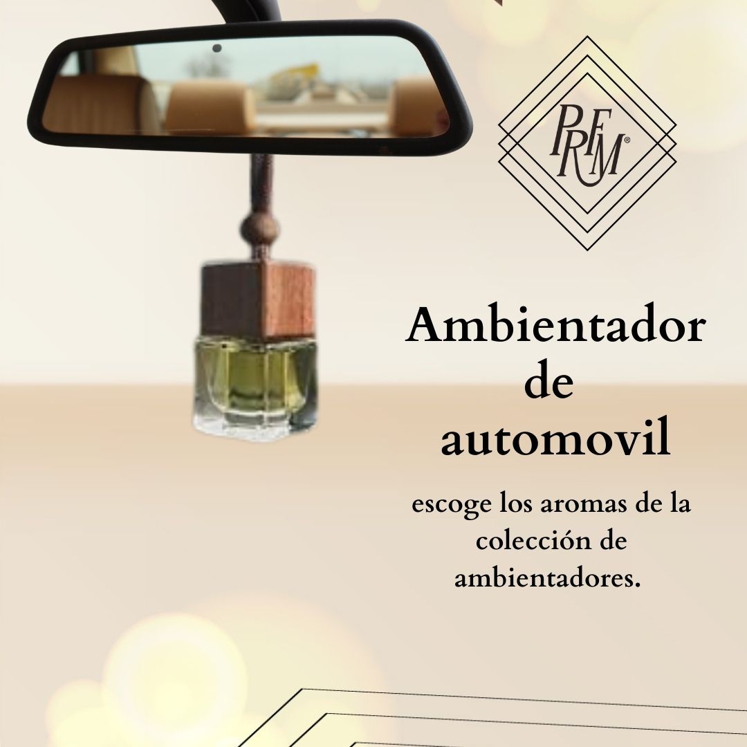 AMBIENTADOR PARA AUTO