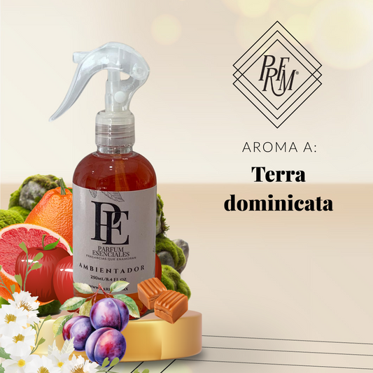 AMBIENTAL INSPIRADO EN TERRA DOMINICATA