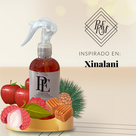 AMBIENTAL INSPIRADO EN XINALANI
