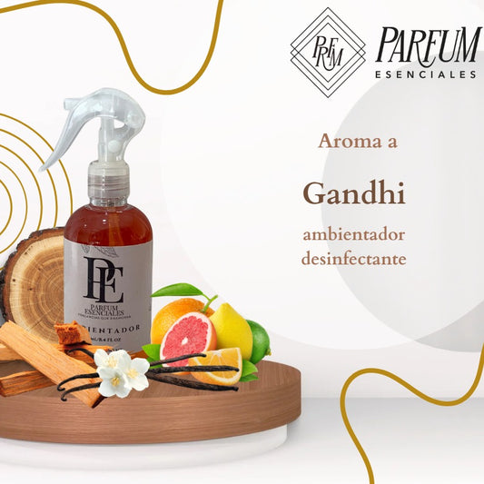 AMBIENTADOR GANDHI